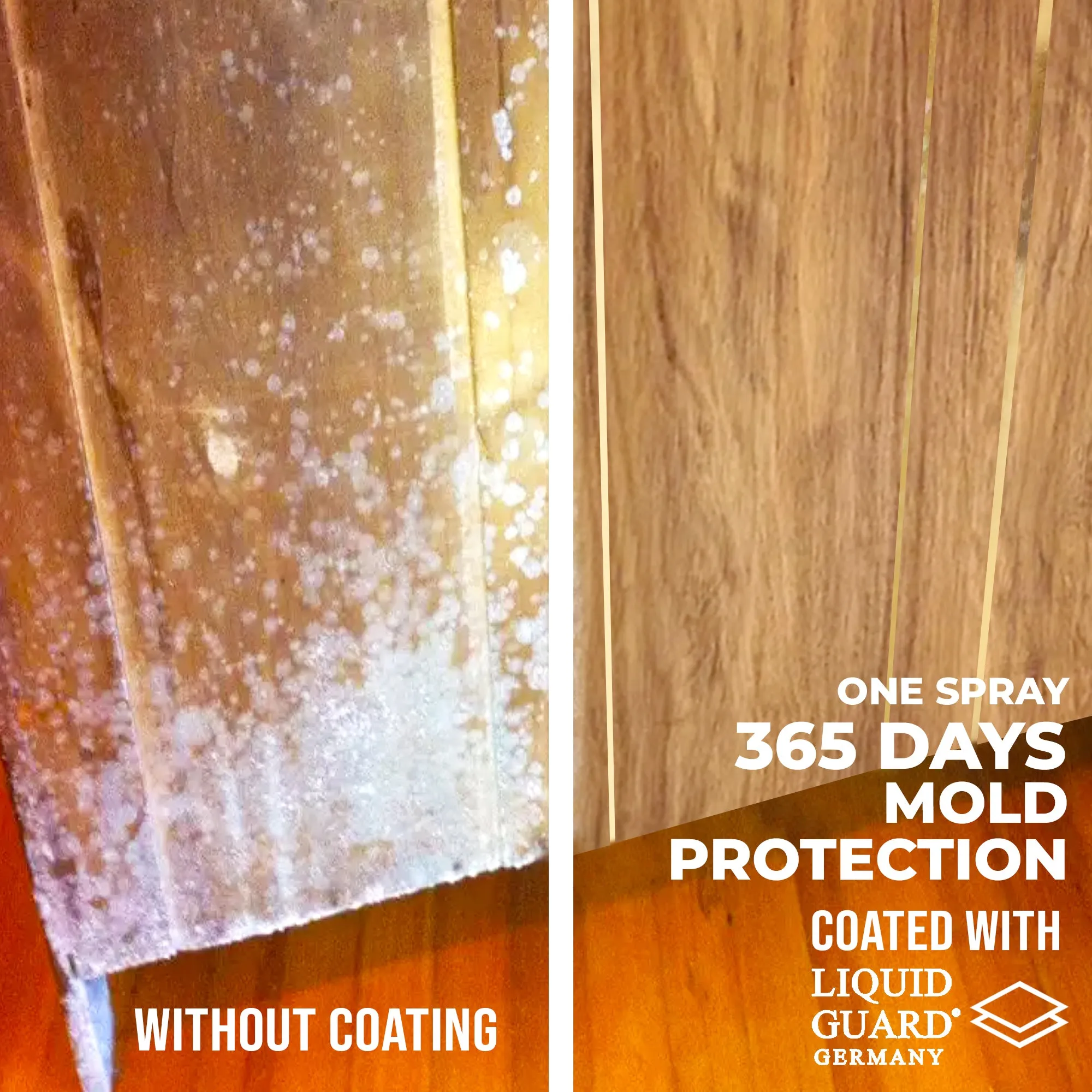 Liquid Guard Germany Anti-Mold/Anti-Virus Protection: For Hard Surfaces (100ml, 2 bottles)